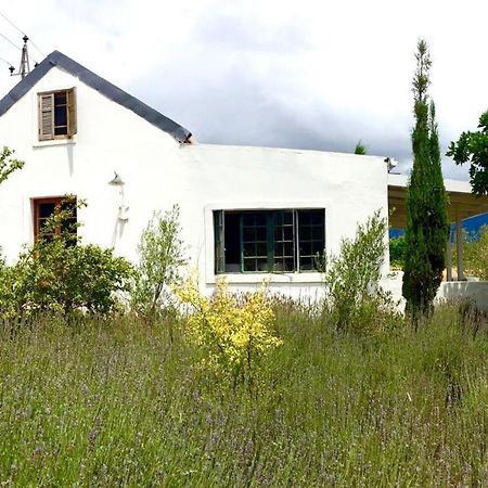 Designer Farm Cottage On Farm Franschhoek Luaran gambar
