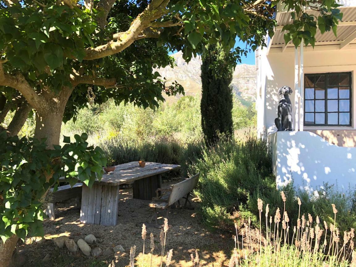 Designer Farm Cottage On Farm Franschhoek Luaran gambar